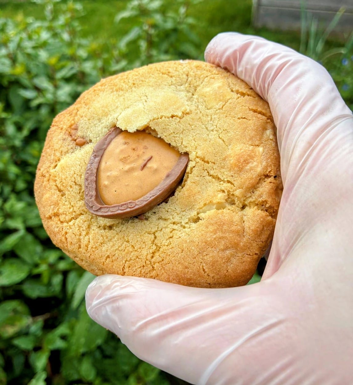 Biscoff Egg Stuffed NYC Cookie hero