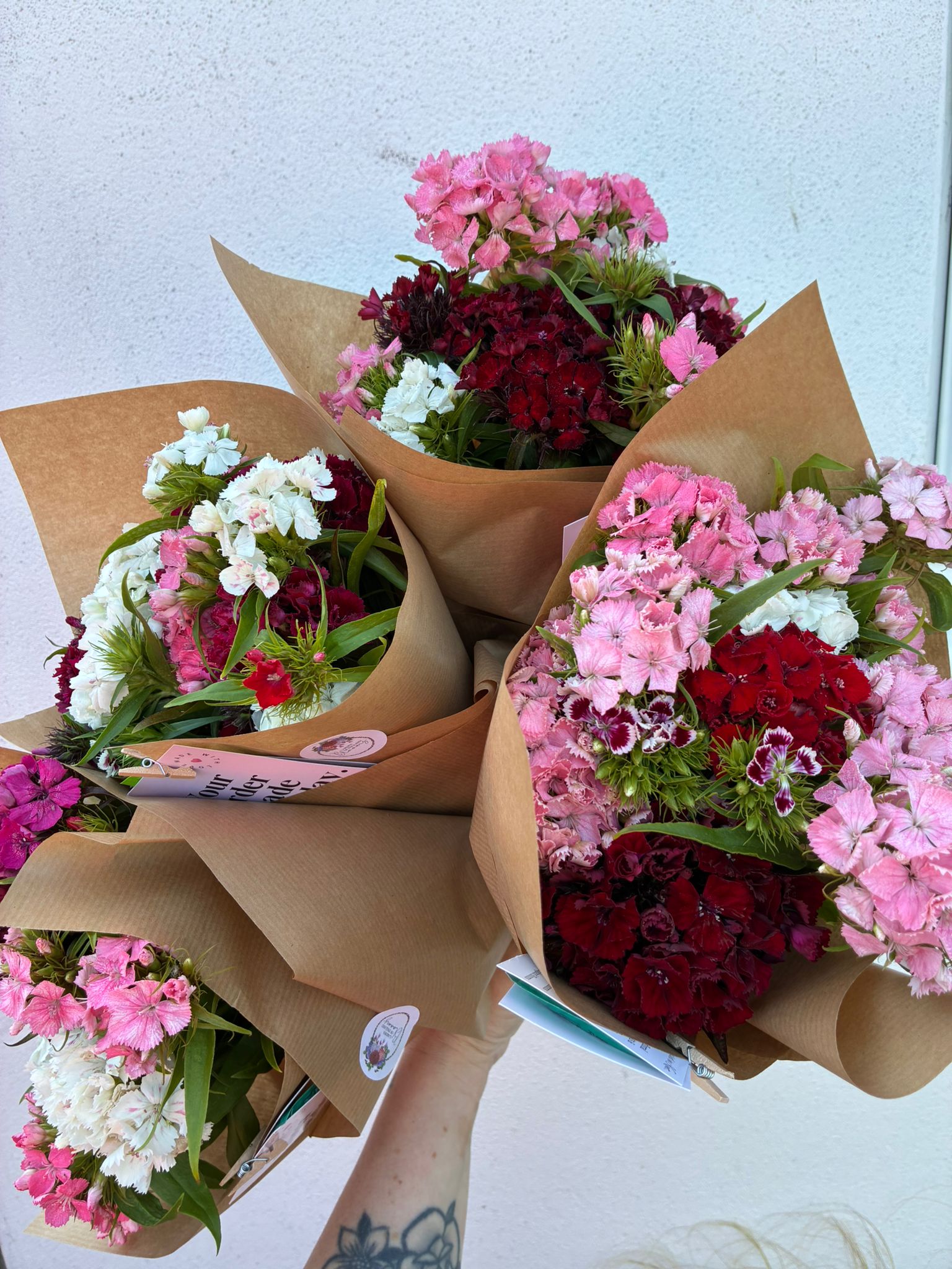 Sweet Williams Bunches!