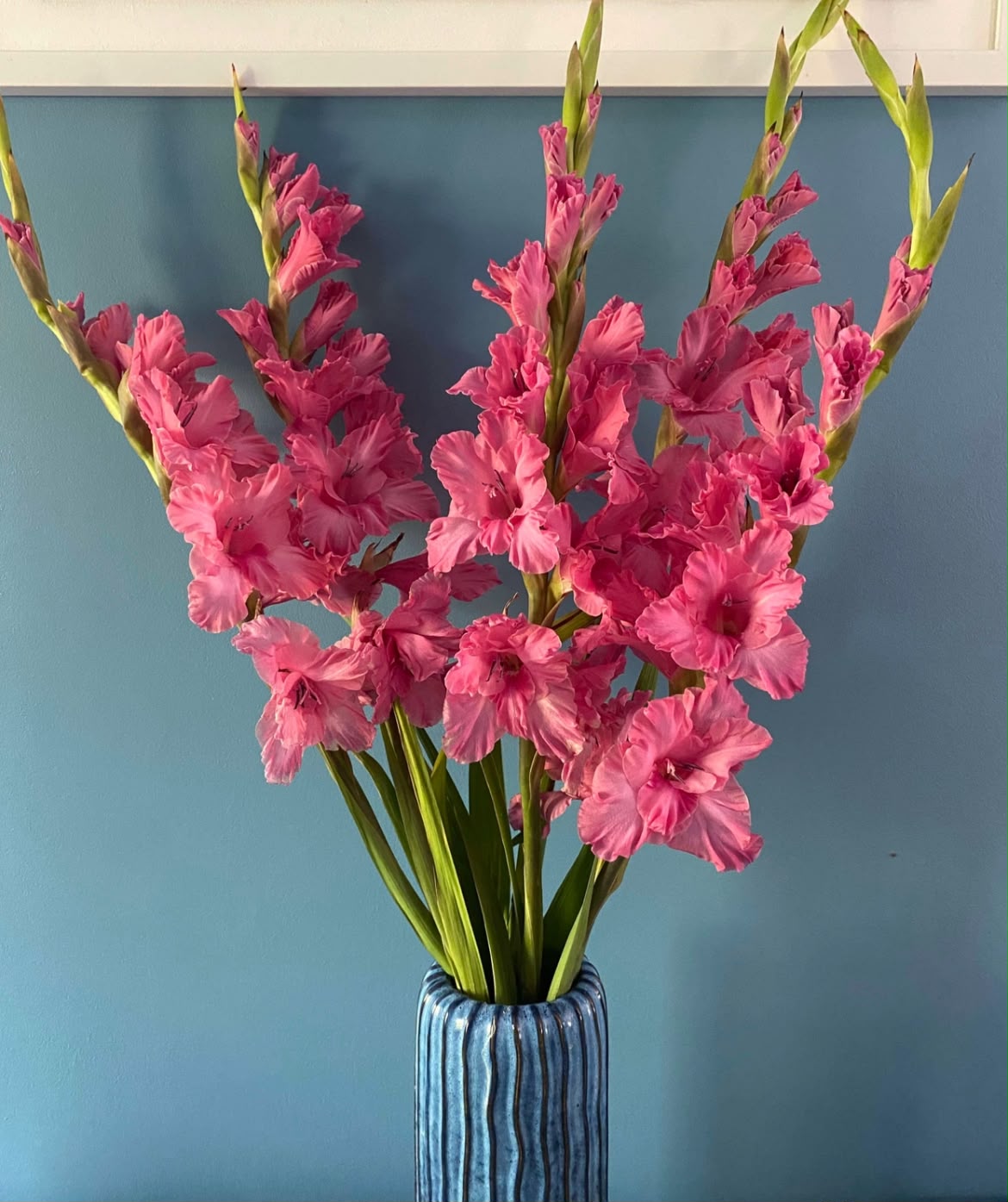 Lucky Dip Gladioli Bunches!