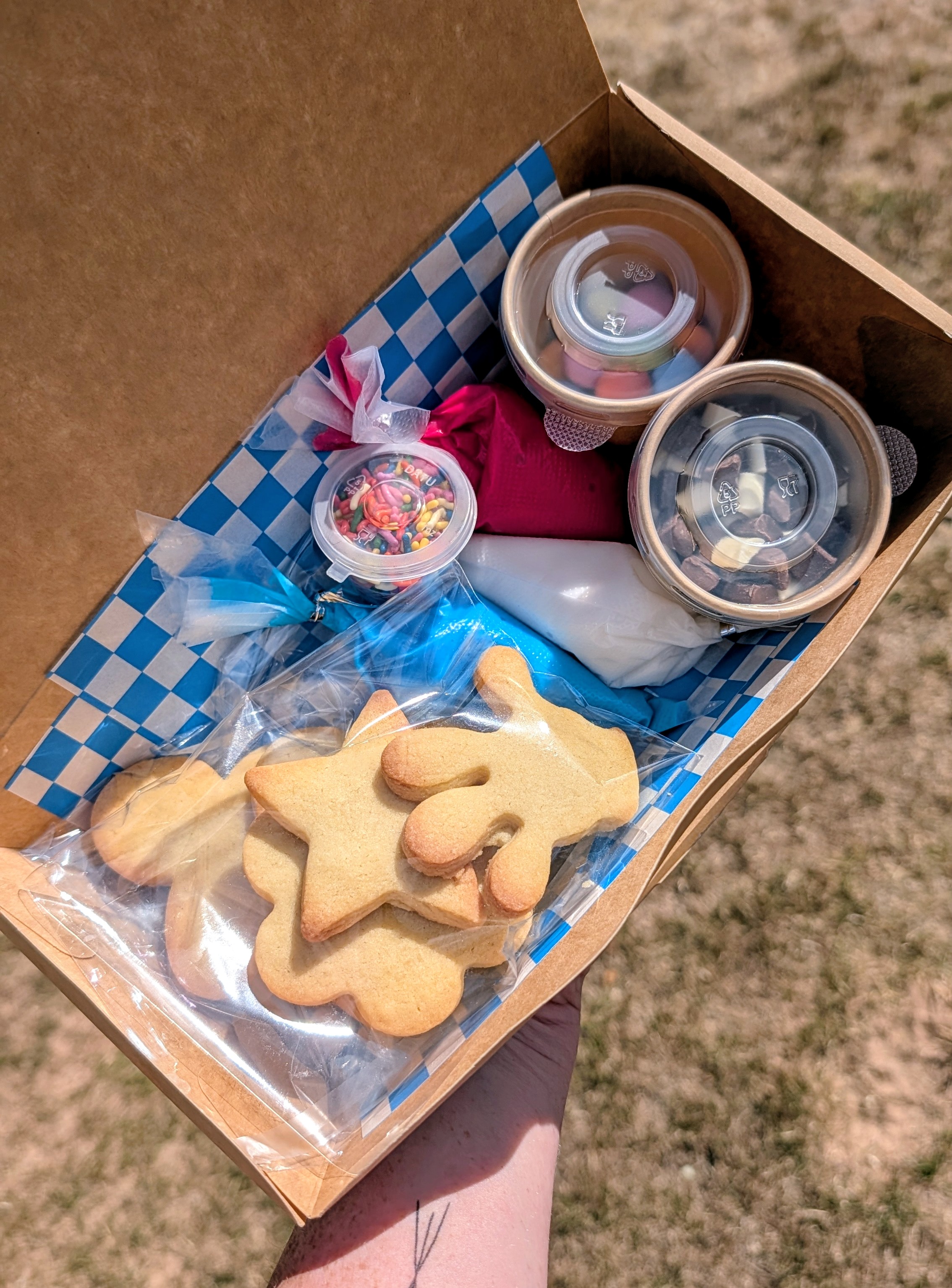 Cookie Decorating Kit