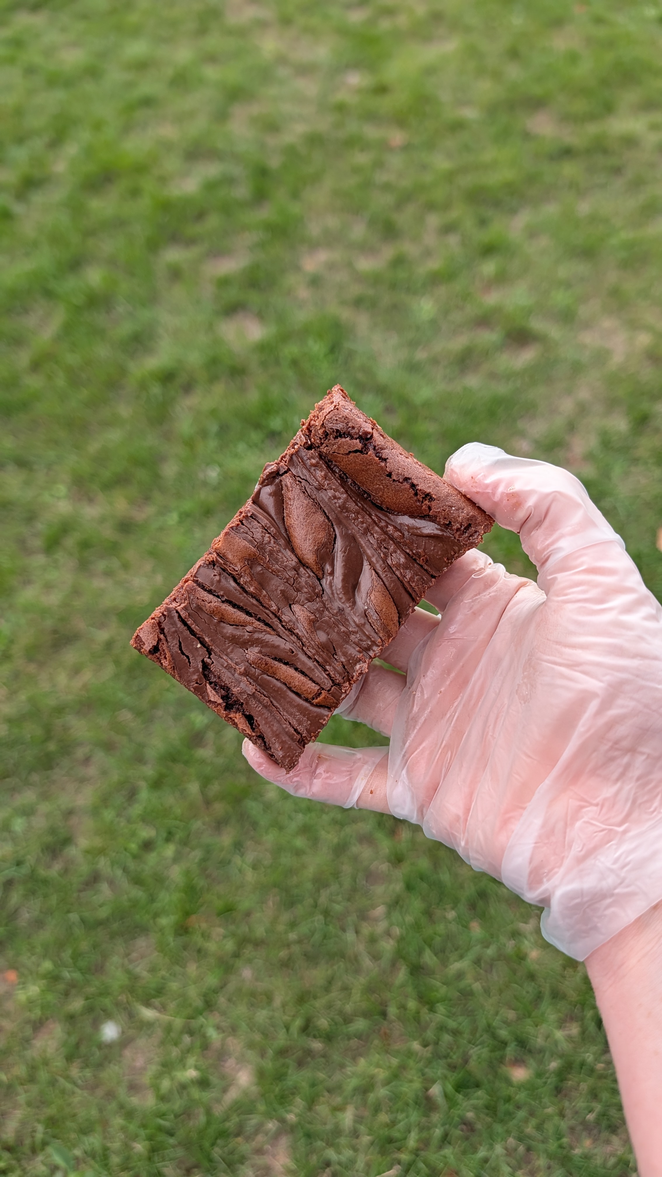 VEGAN Nutella Brownie